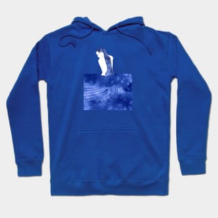 Lysianassa Hoodie